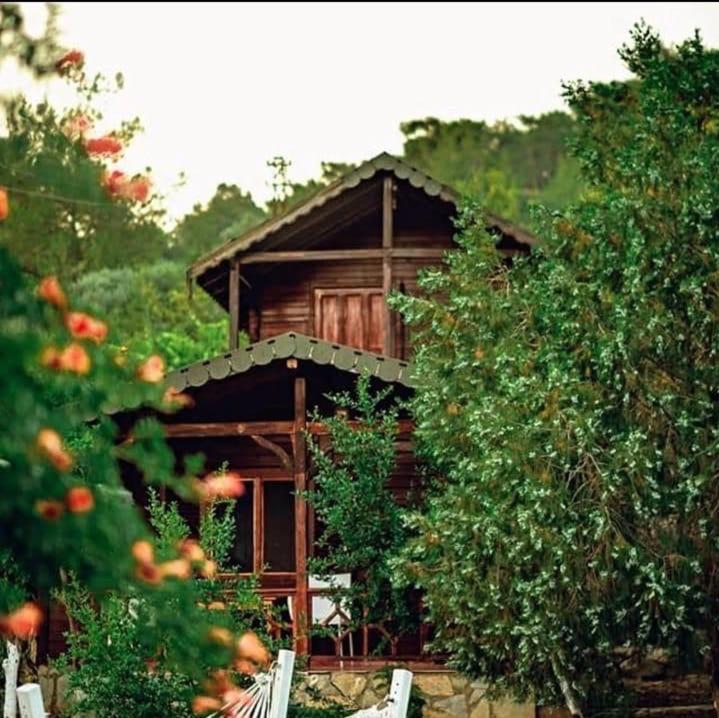 Olympos Talara By Arzum Hotel Kumluca Eksteriør billede