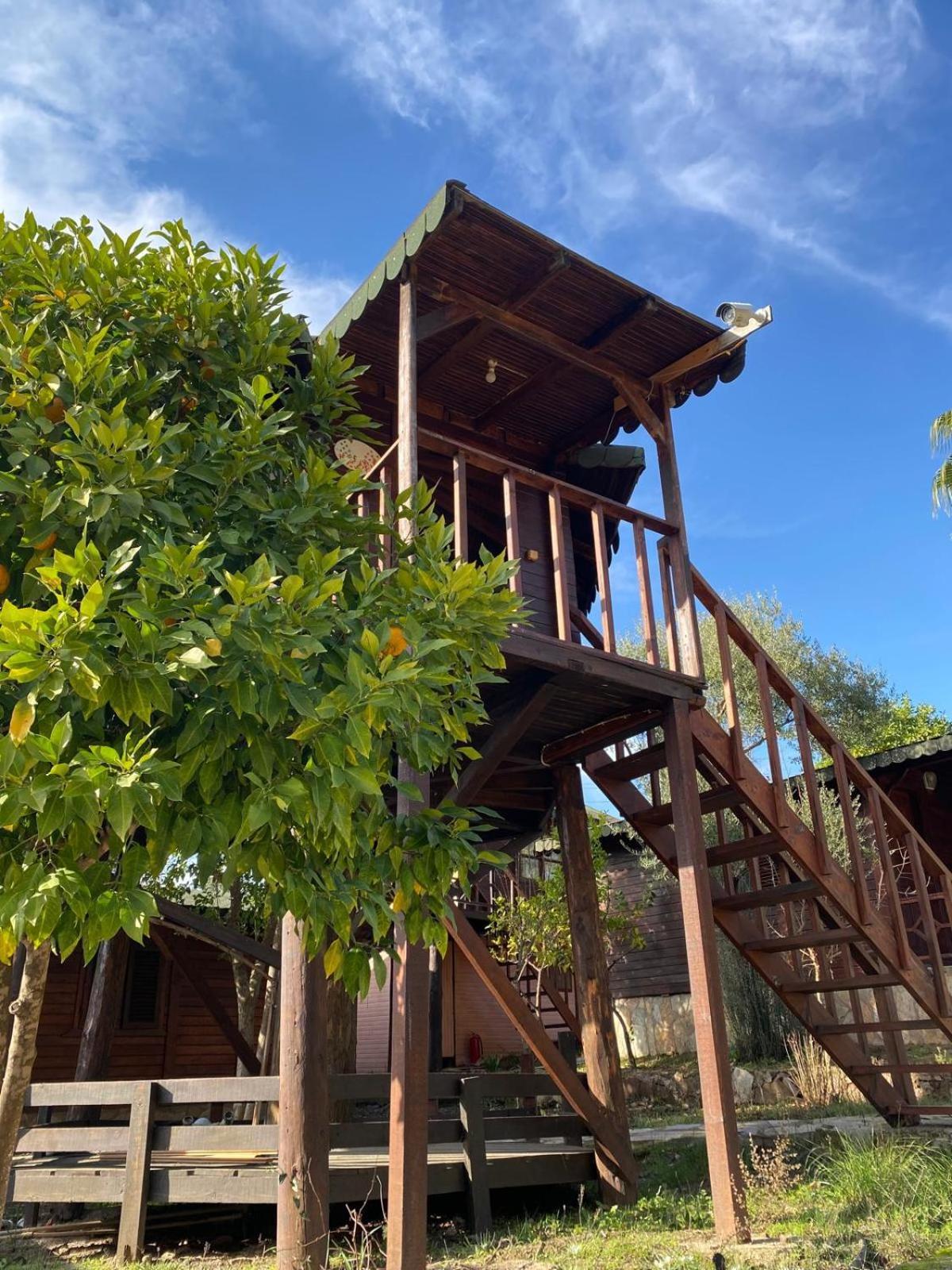 Olympos Talara By Arzum Hotel Kumluca Eksteriør billede