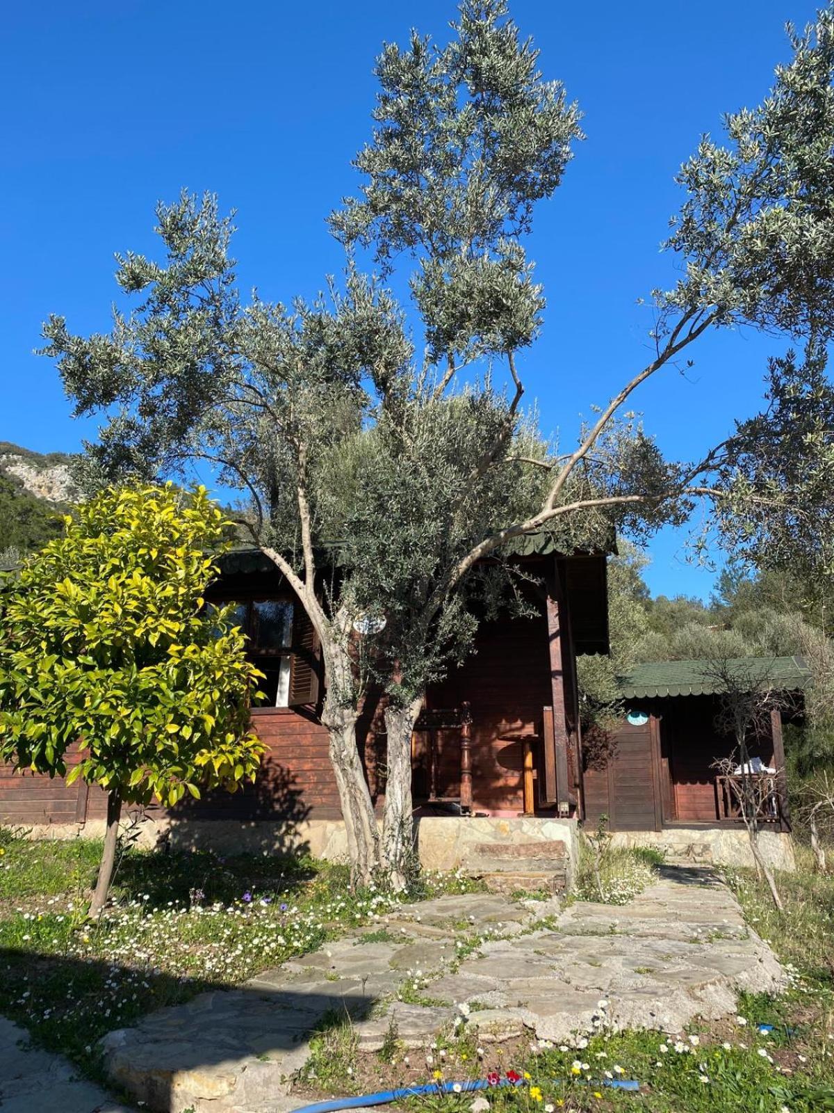 Olympos Talara By Arzum Hotel Kumluca Eksteriør billede